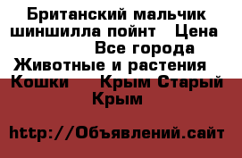 Британский мальчик шиншилла-пойнт › Цена ­ 5 000 - Все города Животные и растения » Кошки   . Крым,Старый Крым